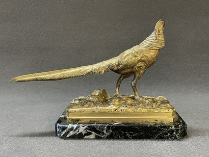 Henri Emile Adrien TRODOUX (XIX)

Coq faisan...