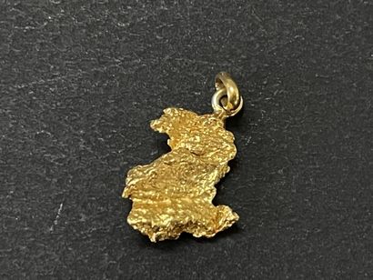 Pendant pepite in gold 750°/00. 

H: 28 mm

weight:...