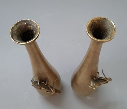 Paire de vases en bronze avec criquets

Japon...