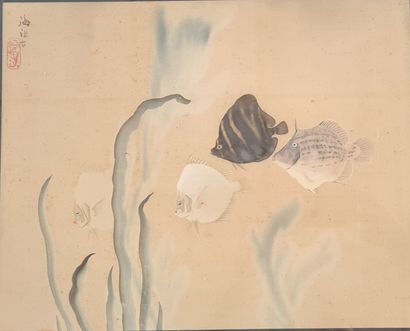 Peinture sur soie asiatique:

Poissons dans...