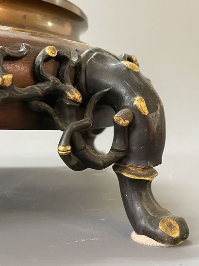 Beau socle en bronze patiné, pieds naturalistes.

Fin...