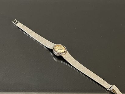 Lady's watch in white gold, oval dial, surrounded...