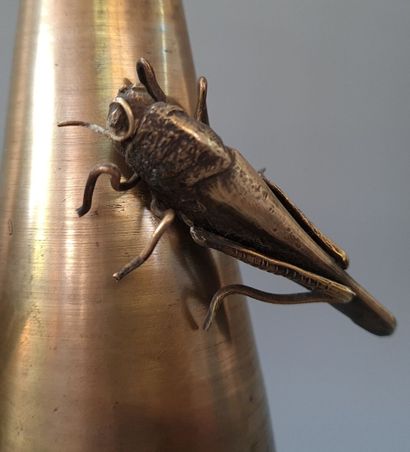 Paire de vases en bronze avec criquets

Japon...