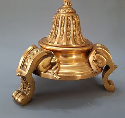 Garniture de cheminée en bronze à décor de...