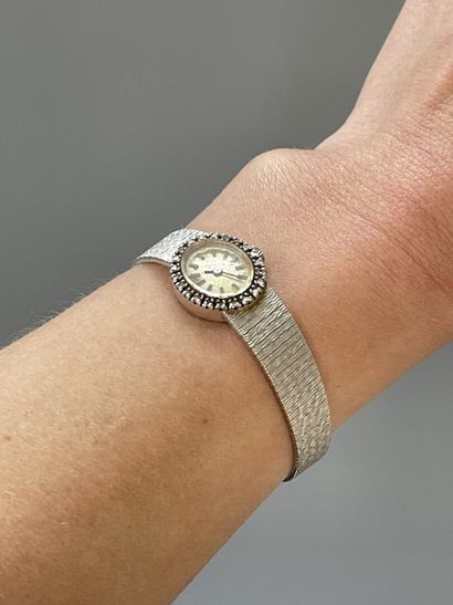 Lady's watch in white gold, oval dial, surrounded...