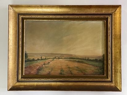 Lucien MIGNON (1865-1944)

Paysage d'Ile...