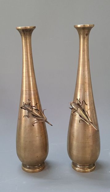 Paire de vases en bronze avec criquets

Japon...