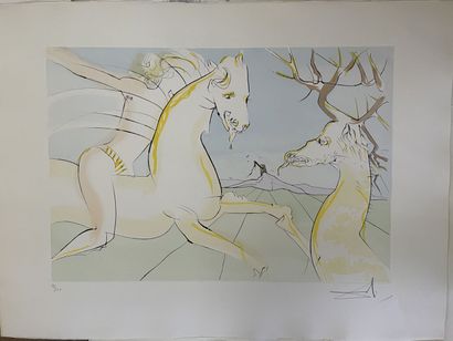 Salvador DALI Salvador (1904-1989), 

The...
