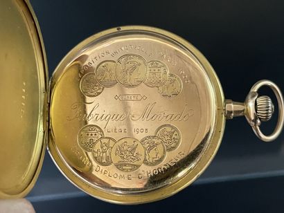 
MOVADO: Double case soap watch in gold 750°/00.




Gross...