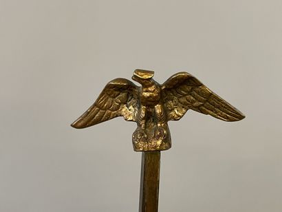Hot water bottle lamp in bronze, lampshade...