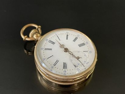 
Gold pocket watch with dust cover.




...