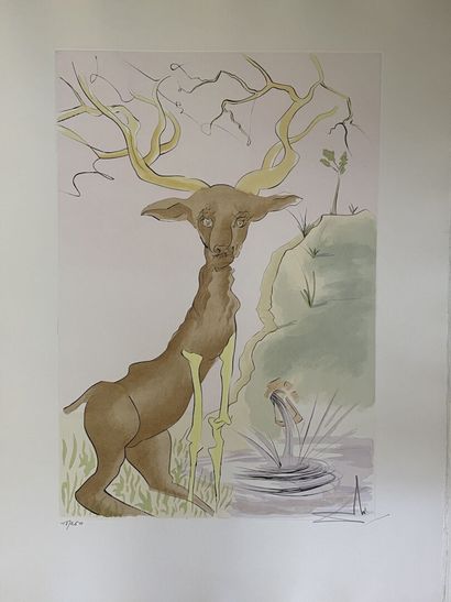 Salvador DALI Salvador (1904-1989), 

The...
