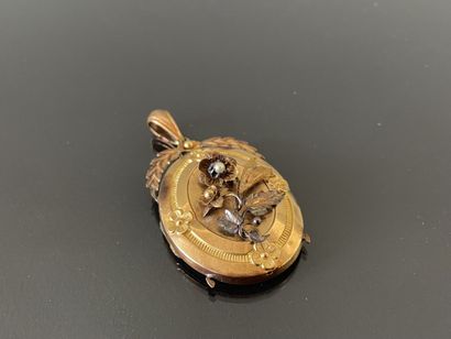 Pendant souvenir in gold 750°/00, thick glass...
