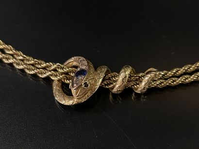 Double necklace twisted mesh in gold with...