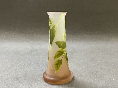 GALLÉ Establishments.

Vase out of multi-layer...