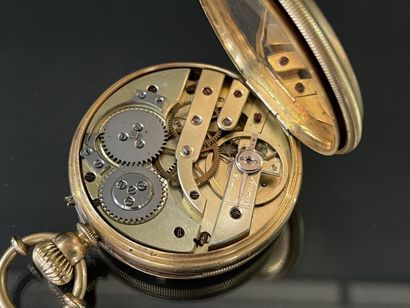 
Gold pocket watch with dust cover.




...