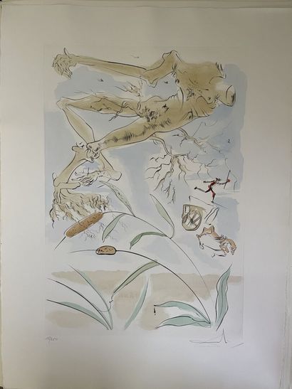 Salvador DALI Salvador (1904-1989), 

The...
