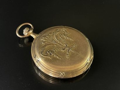 
MOVADO: Double case soap watch in gold 750°/00.




Gross...