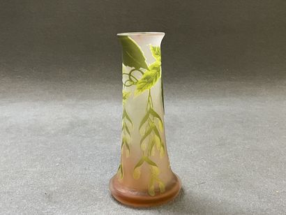 GALLÉ Establishments.

Vase out of multi-layer...