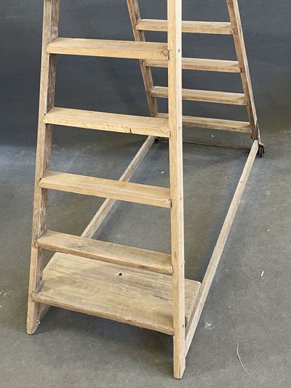 Mobile staircase, library or sculptor. Casters...