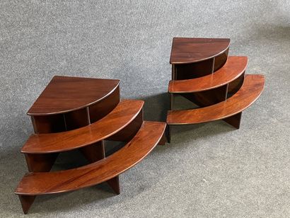 Two steps in mahogany, forming an espalier...