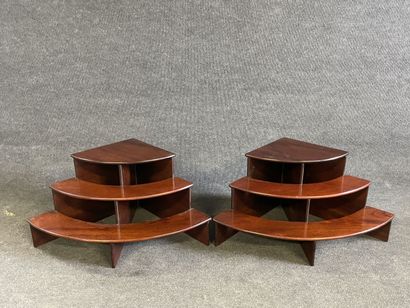 Two steps in mahogany, forming an espalier...