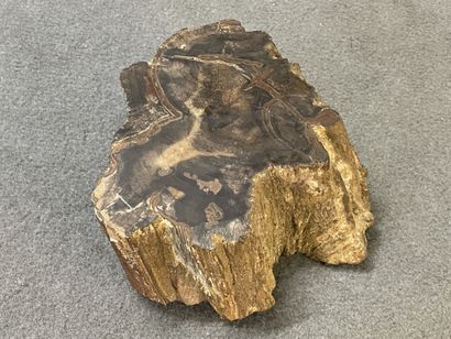 Bois pétrifié. 
8 x 19 x 19 cm. 
Poids: 3.98...