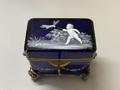 Blue glass case with opaline decoration,...