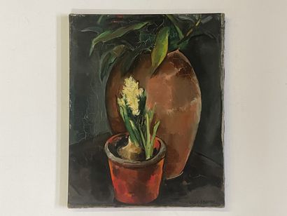 Lilly STEINER (1884-1961)
Jacinthe dans un...