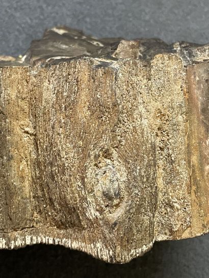 Bois pétrifié. 
8 x 19 x 19 cm. 
Poids: 3.98...