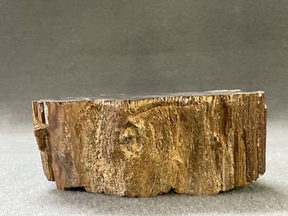 Bois pétrifié. 
8 x 19 x 19 cm. 
Poids: 3.98...