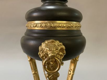 Lamp style hot water bottle, base in bronze...