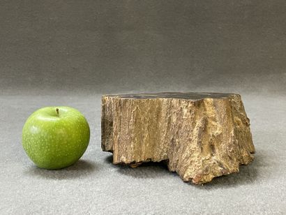 Bois pétrifié. 
8 x 19 x 19 cm. 
Poids: 3.98...