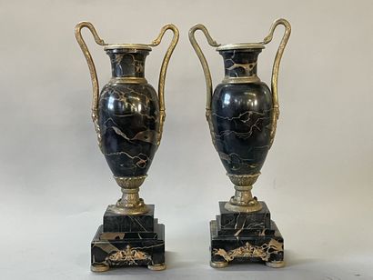 Paire de vases néo-classique en marbre veiné,...