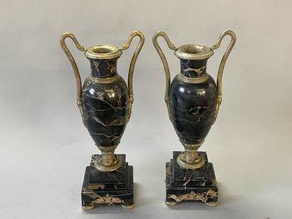 Paire de vases néo-classique en marbre veiné,...