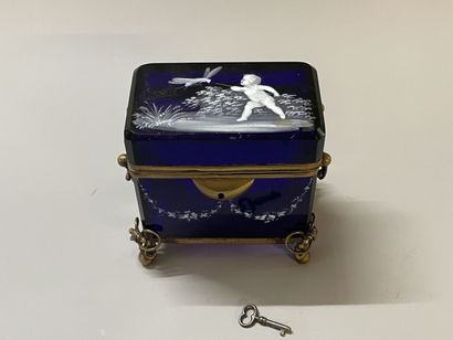Blue glass case with opaline decoration,...