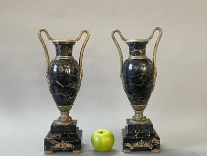 Paire de vases néo-classique en marbre veiné,...
