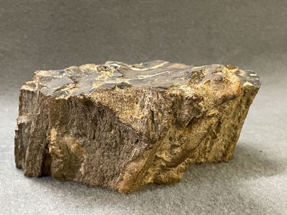 Bois pétrifié. 
8 x 19 x 19 cm. 
Poids: 3.98...