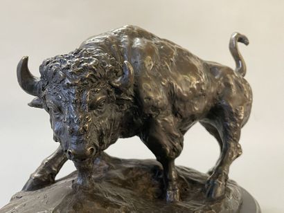 Bison facing a bear. 
Modern sculpture in...