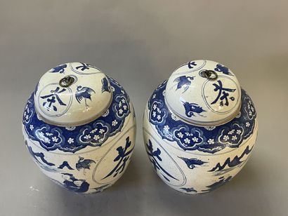 Pair of large covered ginger pots in Chinese...