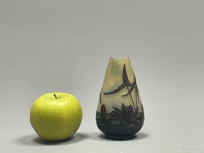 GALLE Etablissements:
Vase piriforme à col...