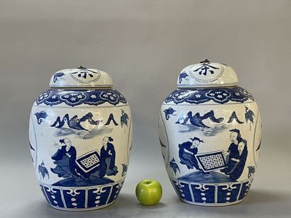 Pair of large covered ginger pots in Chinese...