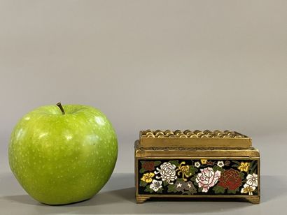 Small box in cloisonné enamel with floral...