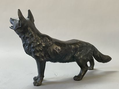 Wolf. 
Sculpture in patinated bronze, 
Japan...