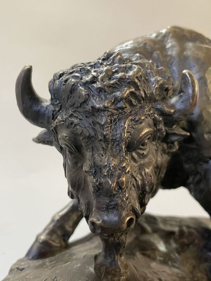 Bison facing a bear. 
Modern sculpture in...