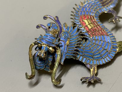 Brooch in feathers of color cloisonné on...