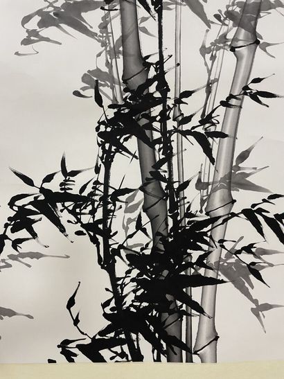CHINA XXTH
Bamboo ,
Ink on paper, on roll....