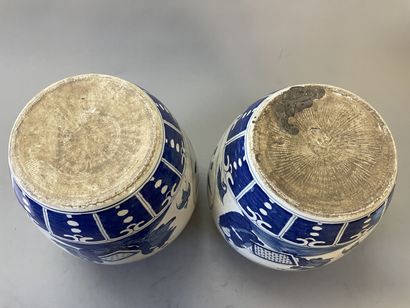 Pair of large covered ginger pots in Chinese...