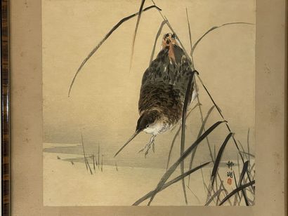 Japan early XXth
Fishing Martin
Pair of framed...