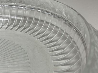 LALIQUE France - Coupe modèle marguerite...